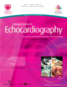 European Journal of Echocardiography Cover Image for Volume 11, Issue 1