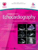 European Journal of Echocardiography Cover Image for Volume 12, Issue 8