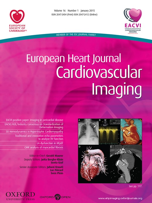 European Journal of Echocardiography Cover Image for Volume 8, Issue 3