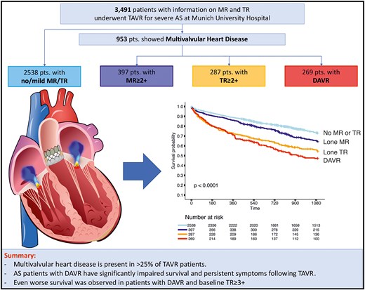 DAVR impacts outcome in patients with severe AS undergoing TAVR. This graphical abstract demonstrates an overview of the study cohort with atrioventricular valve regurgitation and corresponding Kaplan–Meier curves for each group (no/mild AV regurgitation, MR ≥ 2+, TR ≥ 2+, DAVR)