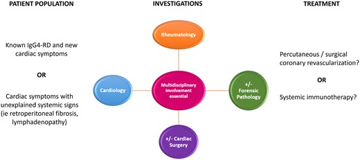 IgG-4-related disease and coronary artery involvement.