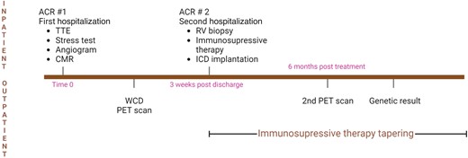 Summary figure—case timeline. The figure was created with BioRender.com.
