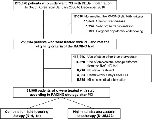 Flow chart of the study population. DES, drug-eluting stent; PCI, percutaneous coronary intervention; RACING, randomized comparison of efficacy and safety of lipid-lowering with statin monotherapy vs. statin/ezetimibe combination for high-risk cardiovascular diseases.