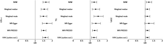 Conventional Mendelian randomization (MR) analyses for the effect of one standard deviation increase in genetically proxied LDL cholesterol (LDL-c), triglycerides (TG), and lipoprotein(a) (Lp(a)) on risk of aortic stenosis. Primary inverse variance-weighted (IVW) and sensitivity analyses are presented; outliers excluded based on Cook's distance method.