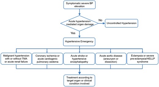 A diagram showing the stratification of hypertensive emergencies according to the condition or target organ involved. HELLP, haemolysis elevated liver enzymes low platelets; TMA, thrombotic microangiopathy.