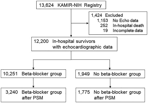 Patients selection for analysis. KAMIR-NIH, Korean Acute Myocardial Infarction Registry-National Institute of Health; PSM, propensity score-matching.