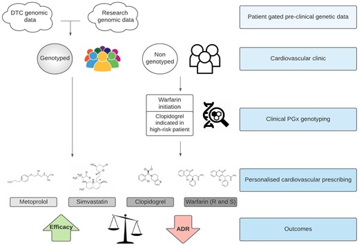 Summary graphic of ESC WG clinical PGx advice. This flow graphic illustrates the modes in which patients may have genetic testing, either prior to clinical encounter or indicated during a clinical encounter (where genotyping may be indicated prior to warfarin initiation or to guide antiplatelet therapy in high-risk patients). This information from diverse sources may then impact on the prescribing of metoprolol, simvastatin, clopidogrel, and warfarin, to increase therapeutic efficacy and decrease the probability of adverse drug reactions. ADR, adverse drug reactions; DTC, direct-to-consumer.