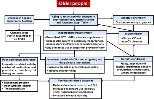Main characteristics of older people and the consequences of inappropriate polypharmacy. ADR:, adverse drug reaction; CAM, complementary/alternative medicine; CV, cardiovascular; DDI: drug–disease interaction; ED, emergency department; HMP, herbal medicinal product; OTC, over the counter; PD/PK, pharmacodynamics/pharmacokinetics; and QoL, quality of life.