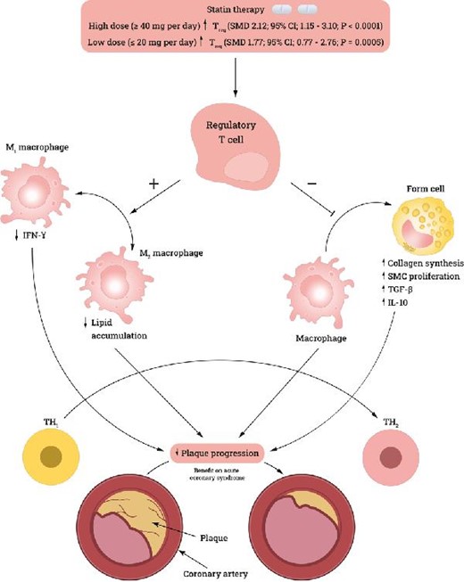 Graphical Abstract