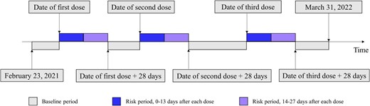 Visualization of the self-controlled case series observation period (23 February 2021 to 31 March 2022), baseline, and risk periods following COVID-19 vaccination. The unvaccinated who had the outcome event during the observation period were also included to adjust seasonality and the probability of receiving vaccination after the event.