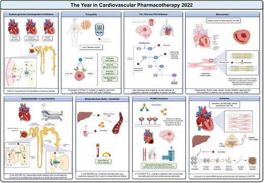 The year in cardiovascular pharmacotherapy 2022. EF = ejection fraction; GIP(R) = GIP receptor; GLP-1(R) = GLP-1 receptor. Other abbreviations as in the text. Created with BioRender.com.