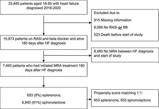 Flowchart of the study population.
