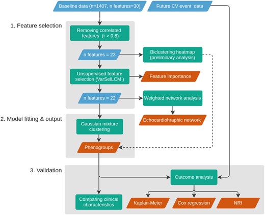Unsupervised machine learning workflow. The blue and orange rhomboids represent the input data and the output of the analysis, respectively. Rectangles describe the performed analytical steps. Arrows show the workflow of the analysis. The dashed line represents the supportive evidence for the phenogroups. For a detailed explanation see the Methods section.