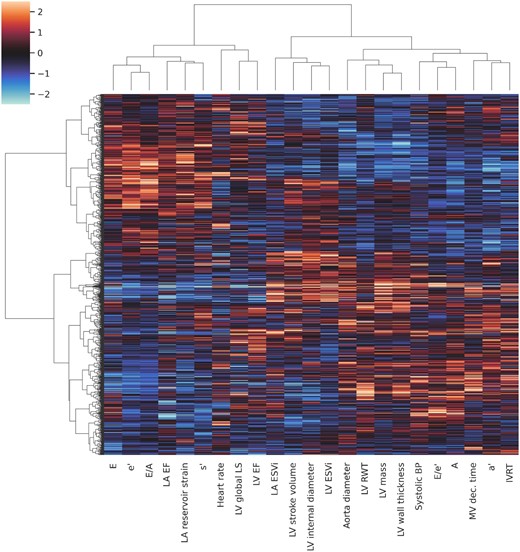 Phenogrouping heatmap showing grouping of individuals based on agglomerative hierarchical biclustering analysis of echocardiographic and haemodynamic variables. The rows represent individuals, the columns represent features, and the colour indicates z-score of the particular value. Red indicates increased values; blue indicates decreased values. A, late peak diastolic velocity of mitral blood flow; a’, late peak diastolic myocardial velocity; E, early peak diastolic velocity of mitral blood flow; e’, early peak diastolic myocardial velocity; ESVi, end-systolic volume index; IVRT, isovolumetric relaxation time; LV, left ventricular; LA, left atrial; LA EF, left atrial emptying fraction; LV EF, left ventricular ejection fraction; LS, longitudinal strain; MV, mitral velocity; RWT, relative wall thickness; s’, peak systolic myocardial velocity.