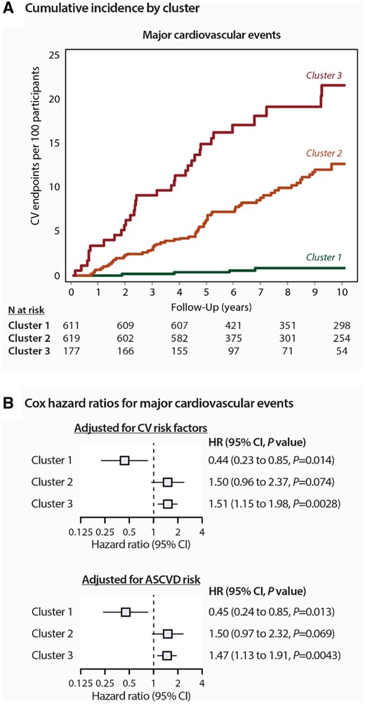 Risk for major cardiovascular events by phenogroup. (A) Incidence of adverse events are shown by clusters. P log rank was <0.0001 for both plots. (B) Cox regression hazard ratios (95% confidence interval) The hazard ratios express the risks in each cluster compared with the average risk in the whole cohort. In the upper panel, the model was adjusted for the following the covariables: sex, age, body mass index, serum cholesterol, current smoking, antihypertensive drug treatment, and diabetes mellitus. In the bottom panel, the model was adjusted for ASCVD risk score.