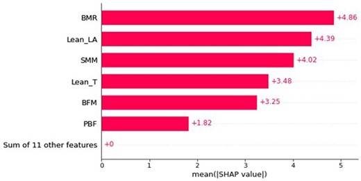 Bar plot consisting of features sorted by their importance, which is measured as the mean absolute SHapley Additive exPlanations values, within the train set.