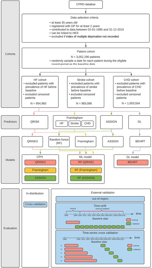 Flow diagram of the cohort selection, modelling, and evaluation. Heart failure is used for demonstration of the seven models for comparison, but the Stroke and coronary heart disease risk prediction follow the same protocol. The colour in predictor and modelling section represents a path that flows from the cohort to a specific set of predictors and how the predictors are used by the models.