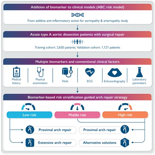 Graphical Abstract