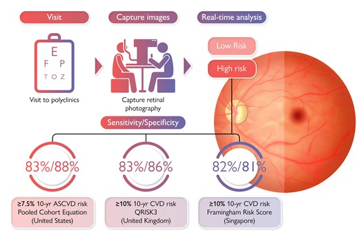 The Pooled Cohort Equation (PCE), QRISK3, and modified Framingham Risk Score (FRS) are formal risk assessment tools to guide primary prevention of cardiovascular disease in the USA, UK, and Singapore, respectively. However, these risk assessment tools require a lipid profiling via blood tests. Currently, a non-invasive cardiovascular disease (CVD) risk assessment tool is not available, particularly in stratifying those at intermediate- and high-risk. Reti-CVD is a retinal imaging biomarker developed from a deep-learning algorithm that can predict future CVD risk. In this study, we aim to evaluate the performance of Reti-CVD as a non-invasive triage tool to identify individuals with intermediate- and high-risk for CVD who can potentially benefit from early intervention. In this cross-sectional validation study, we confirmed Reti-CVD’s ability to identify individuals with intermediate- and high-risk for CVD based on their 10-year CVD risk using three different standard risk assessment tools (PCE, QRISK3, and modified FRS) with more than 80% sensitivity and specificity. Our findings demonstrate Reti-CVD’s ability to function as a non-invasive screening tool that can help triage patients according to CVD risk.