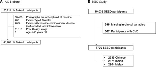 Study flowchart of (A) UK Biobank and (B) SEED Study.