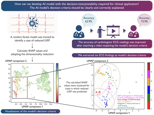Graphical Abstract