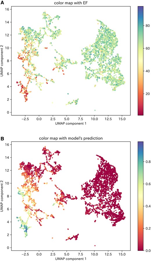 Visualization of the two-dimensional SHAP values of the test dataset. (A) Colour mapping of the two-dimensional SHAP values of the test dataset according to the LVEF values of each data item. (B) Colour mapping of the two-dimensional SHAP values of the test dataset according to the model’s predictive values for each data item. UMAP, uniform manifold approximation and projection.