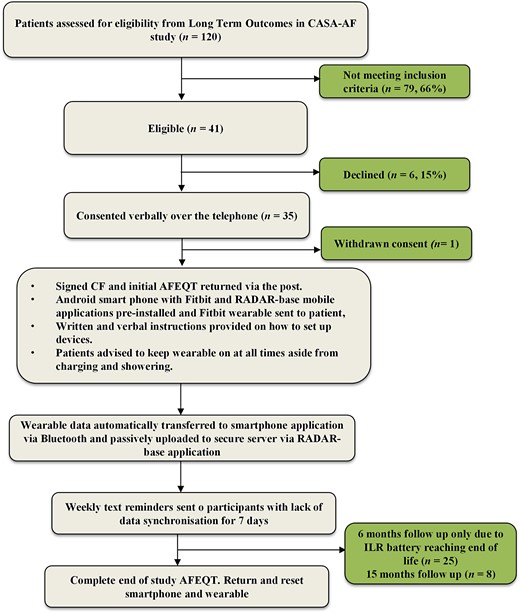 Schematic showing the stepwise process undertaken for patients recruited to REMOTE-AF. LoTO CASA LSAPF, long-term outcomes in long-standing persistent atrial fibrillation; PIS, patient information sheet; CF, consent form; AFEQT, AF quality of life questionnaire; RADAR, remote assessment of diseases and relapses.