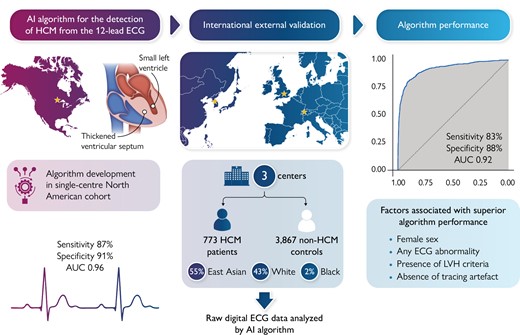 Graphical Abstract