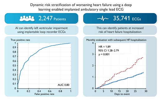Graphical Abstract