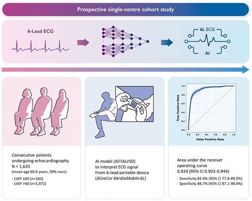 Graphical Abstract