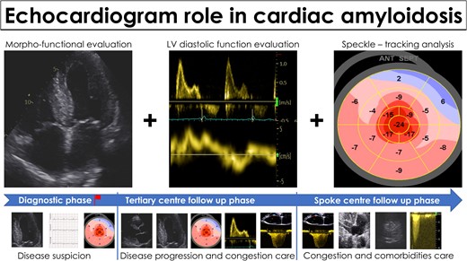 Echocardiography in the management of patients with cardiac amyloidosis. Echocardiography is the mainstay imaging technique for disease suspicion and for follow-up both in referral centres and in spoke cardiology clinic.