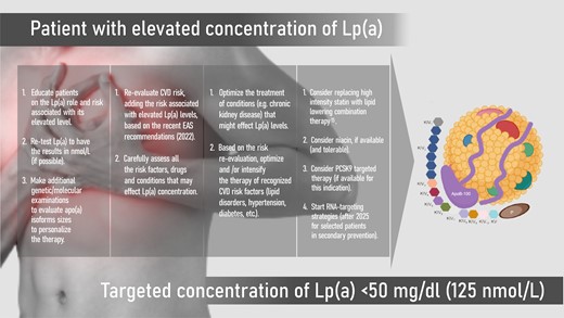 The suggested pathway of management with patients with elevated Lp(a) concentration. *The picture of Lp(a) was reprinted and modified from Liu, T et al. Chonnam Med J. 2021, 57, 36–4314 (no permission required).