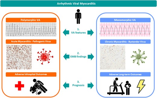 Graphical Abstract