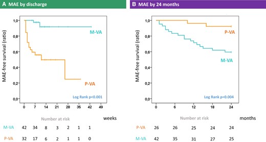 Kaplan–Meier curves in patients with polymorphic vs. monomorphic ventricular arrhythmias at presentation. Kaplan–Meier curves are shown for patients with viral myocarditis and early-phase polymorphic vs. monomorphic ventricular arrhythmias, for the endpoint of major adverse events (i.e. all-cause death, complicated heart failure, advanced atrioventricular blocks, or major ventricular arrhythmias). Results are shown both by hospital discharge on n = 74 patients (A, left) and by 24-month follow-up on n = 68 patients (B, right). Numbers at risk are reported under each chart. MAE, major adverse events; VA, ventricular arrhythmias; M, monomorphic; P, polymorphic.