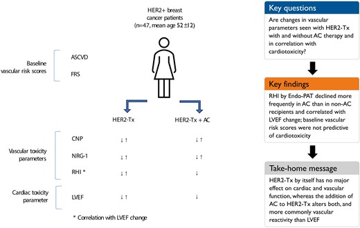 Graphical abstract