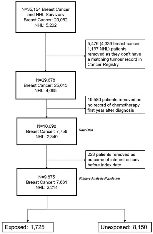 Study population profile. Flow diagram showing how the primary analysis population was derived. N, total number of participants; NHL, non-Hodgkin’s lymphoma; Index date, 1-year anniversary of cancer diagnosis.