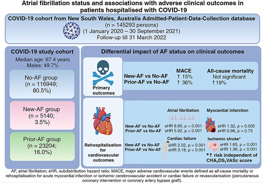 Graphical Abstract