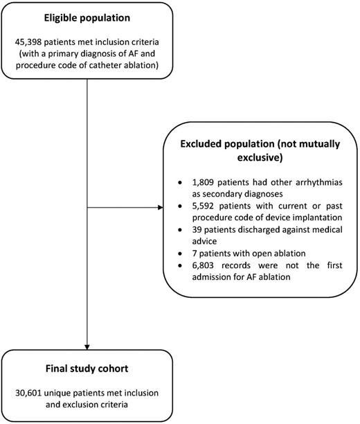 Patient selection flow diagram. AF, atrial fibrillation.