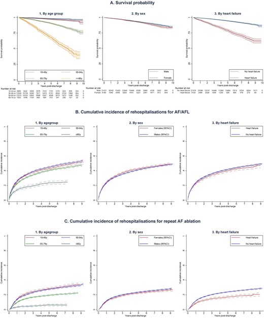 Long-term outcomes following catheter ablation of atrial fibrillation by age, sex, and comorbid heart failure. (A) Long-term survival probability following catheter ablation of atrial fibrillation based on (1) Age group. (2) Sex (3) The presence of comorbid heart failure. (B): Long-term risk of rehospitalizations for recurrent atrial arrhythmias (atrial fibrillation or flutter) following catheter ablation of atrial fibrillation based on (1) Age group, (2) Sex (3) The presence of comorbid heart failure. (C) Long-term risk of repeat AF ablation following catheter ablation of atrial fibrillation based on (1) Age group, (2) Sex, (3) The presence of comorbid heart failure. AF, atrial fibrillation; AFL, atrial flutter; and y, years old.