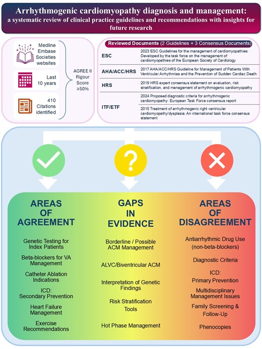 Graphical abstract