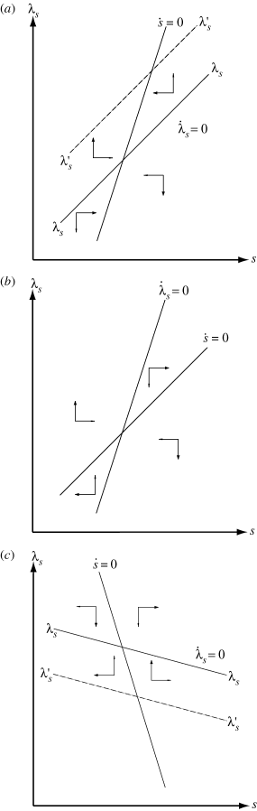 The Phase Diagram for an SIS Disease with Case IIA or D Targetting: (a) A Stable Case, (b) An Unstable Case and (c) A Stable Case