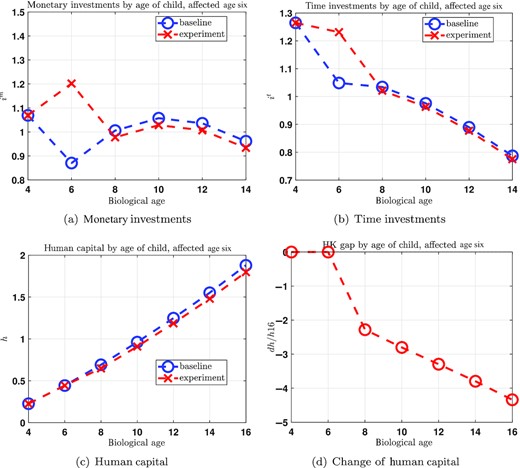 Monetary and Time Investments and Human Capital over the Child's Remaining Life Cycle for Children Age Six.