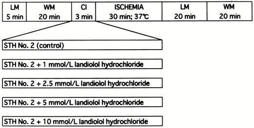 The experimental protocol represented diagrammatically. LM, Langendorff mode; WM, working mode; CI, cardioplegic infusion; STH No. 2, St. Thomas' Hospital cardioplegic solution No. 2.