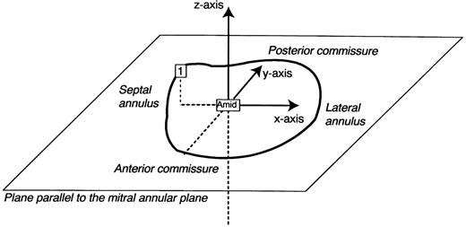 The internal Cartesian coordinate system employed in this reanalysis (see text).