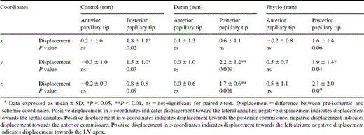 Three-dimensional coordinates at end-systole of the papillary muscle tips with respect to midline anterior mitral leaflet edge before and during acute left ventricular ischemia