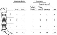 The locations of tumors and surgical approaches are represented. All patients with tumors in upper and middle trachea had surgical treatment via anterior approach. Transpleural approach was applied in most of the patients with tumors in lower carina.