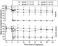 Changes in the rate of contraction of the auricles and the strips. For group definitions see Table 1. *P<0.01 vs. control (groups 1.1 and 1.2) and ischemia+allopurinol (groups 4.1 and 4.2).