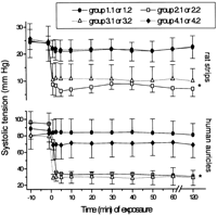 Changes in the maximal amplitude of contraction of the organs. For group definitions see Table 1. *P<0.01 vs. control (groups 1.1 and 1.2) and ischemia+allopurinol (groups 4.1 and 4.2).