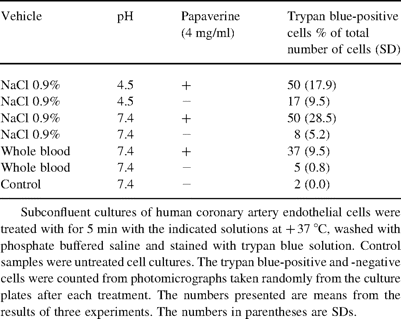 The effect of papaverine treatment on the viability of cultured human coronary artery endothelial cells