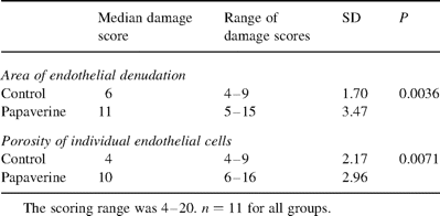Effect of intraluminal papaverine treatment on endothelial denudation and on the porosity of individual endothelial cells